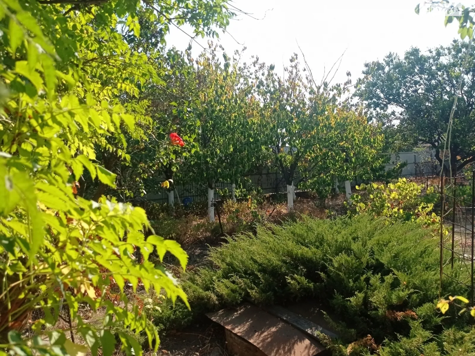 вулиця 2-га Лінія СОГ Ветеран Молодежное, цена: 17600 $ - фото 1