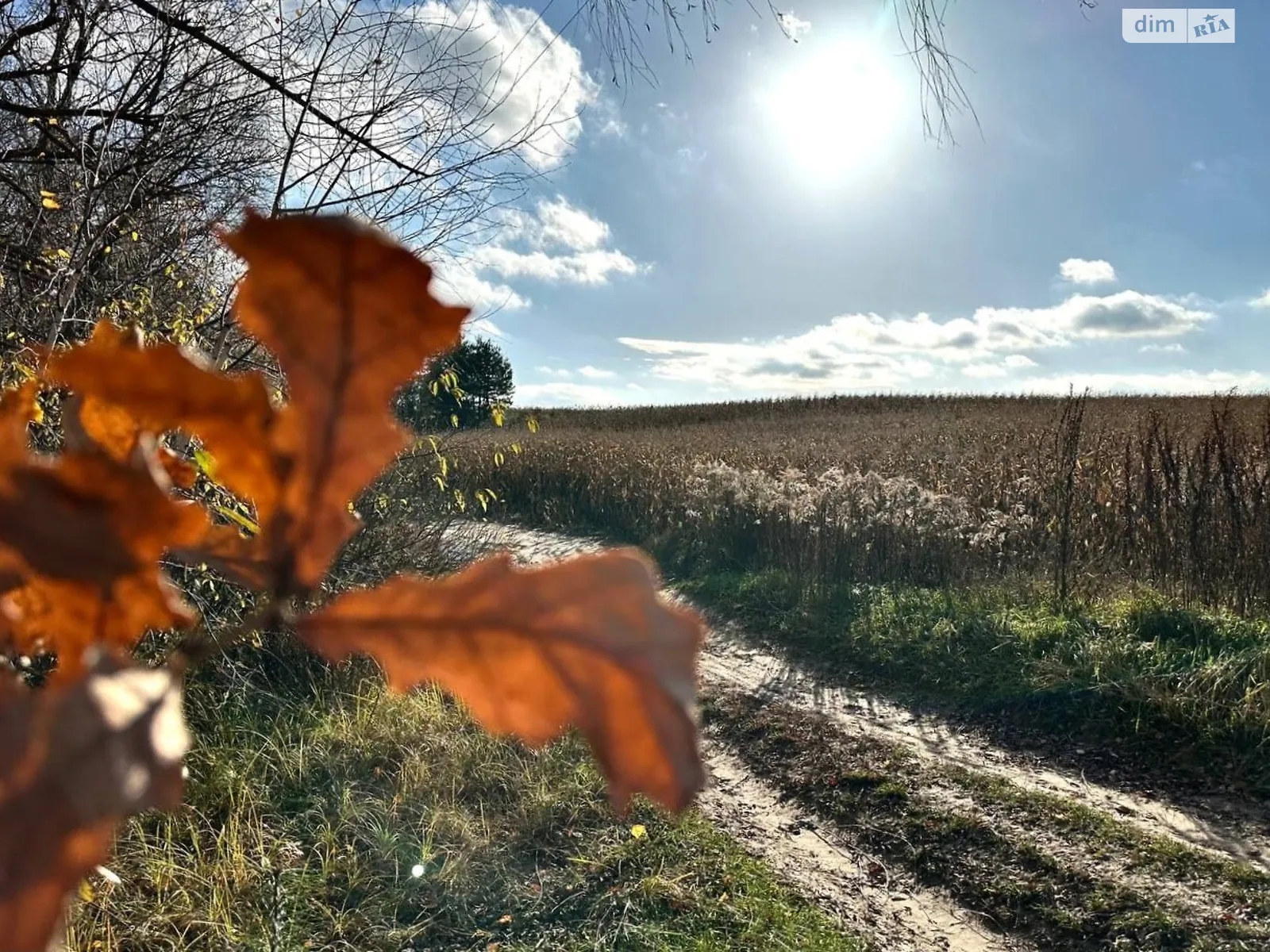 Продается земельный участок 3.11 соток в Киевской области, цена: 220000 $ - фото 1