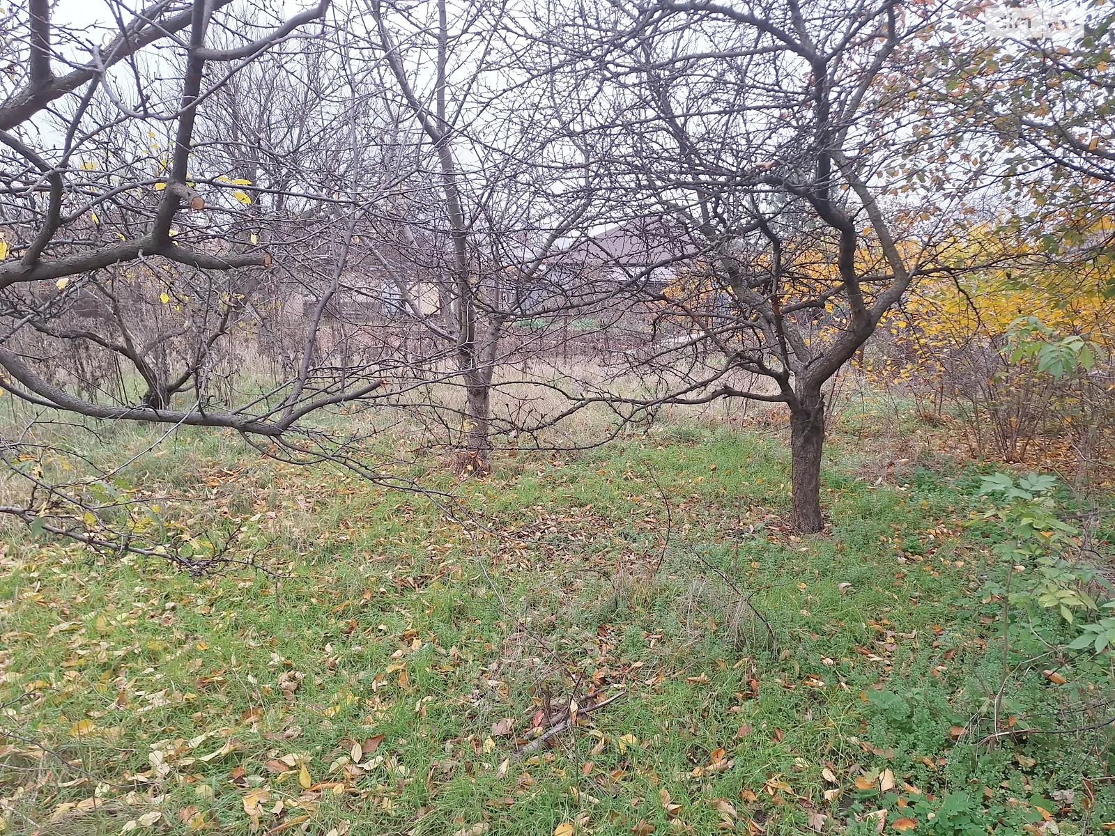 Продается одноэтажный дом 50 кв. м с камином, цена: 16000 $ - фото 1