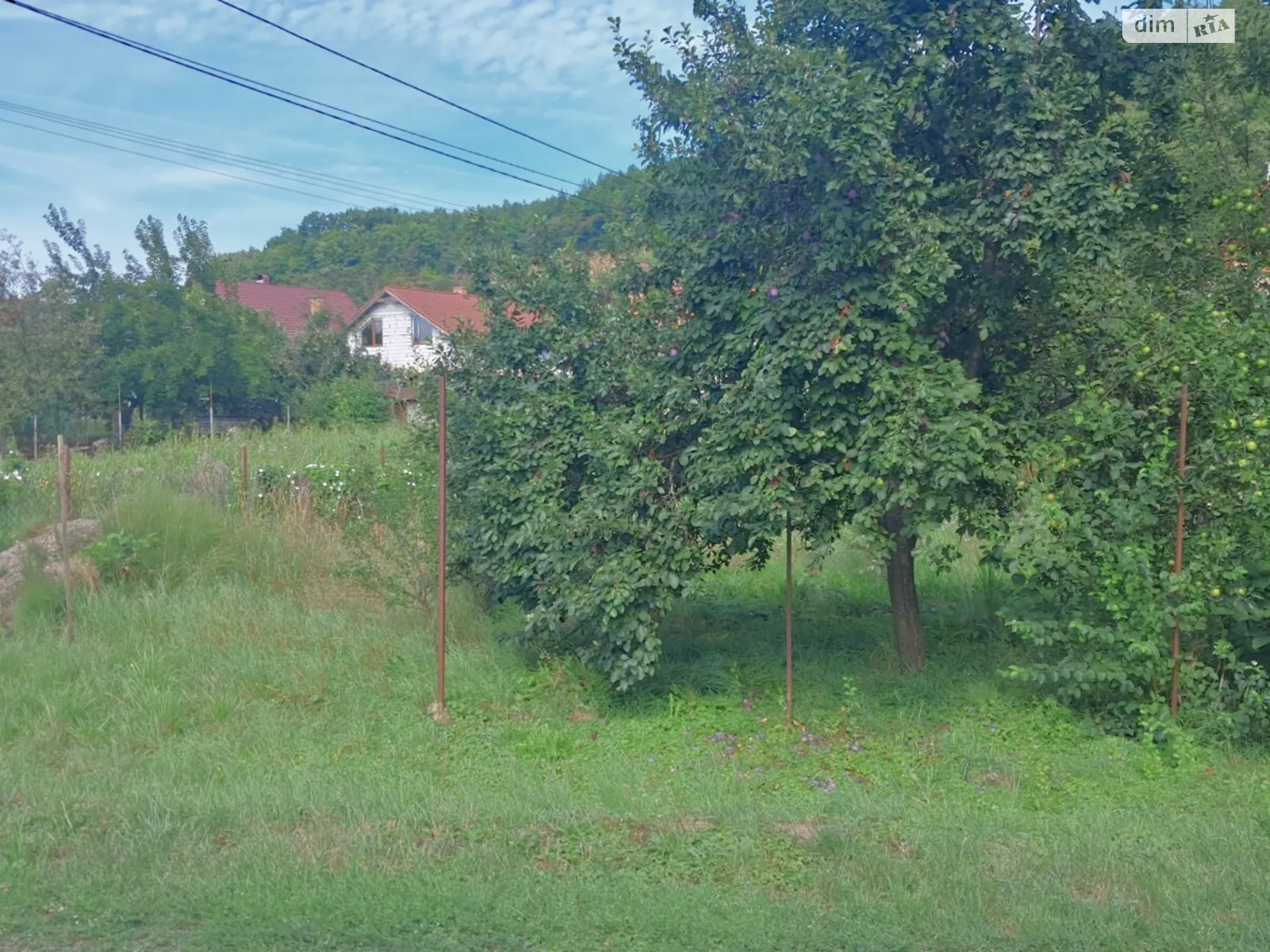 Продается земельный участок 4.09 соток в Закарпатской области, цена: 18000 $ - фото 1