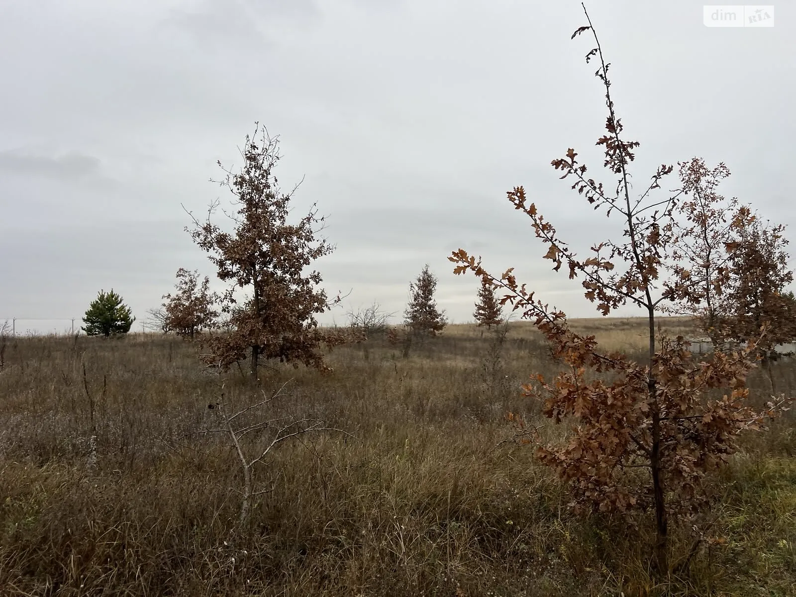 Продается земельный участок 12 соток в Киевской области, цена: 33600 $ - фото 1