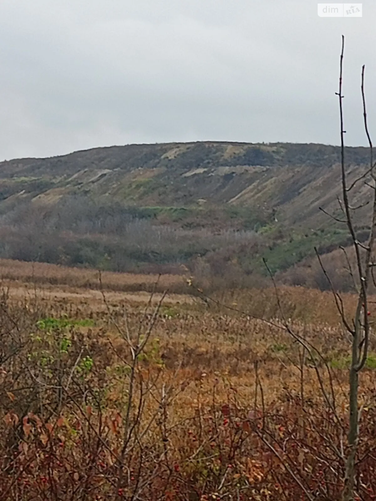 Городок, цена: 387890 грн - фото 1