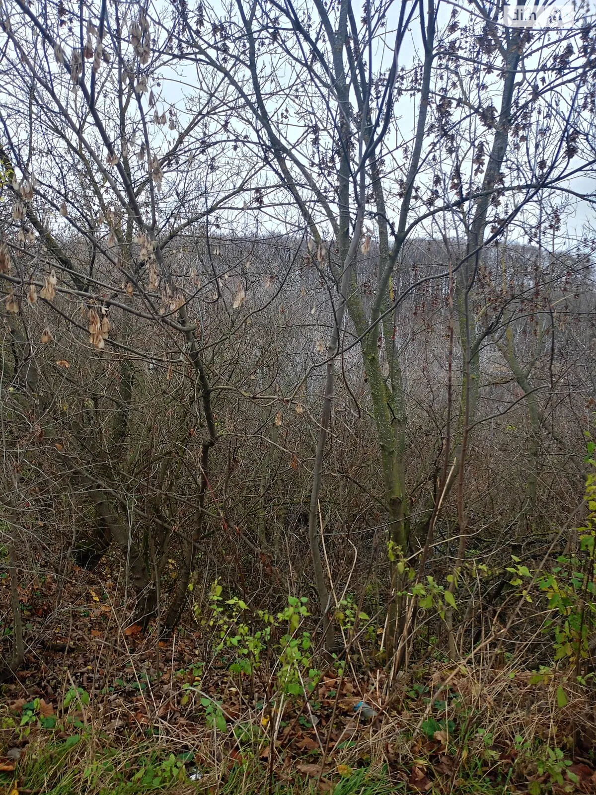 Городок, цена: 207171 грн - фото 1