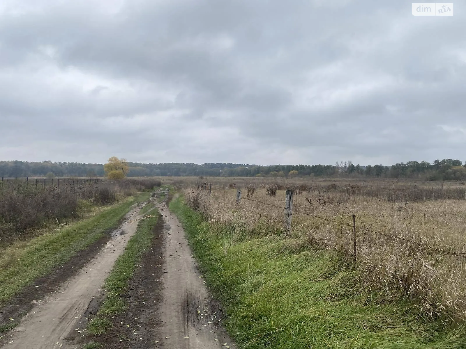 Селище (Тывров), цена: 7000 $ - фото 1