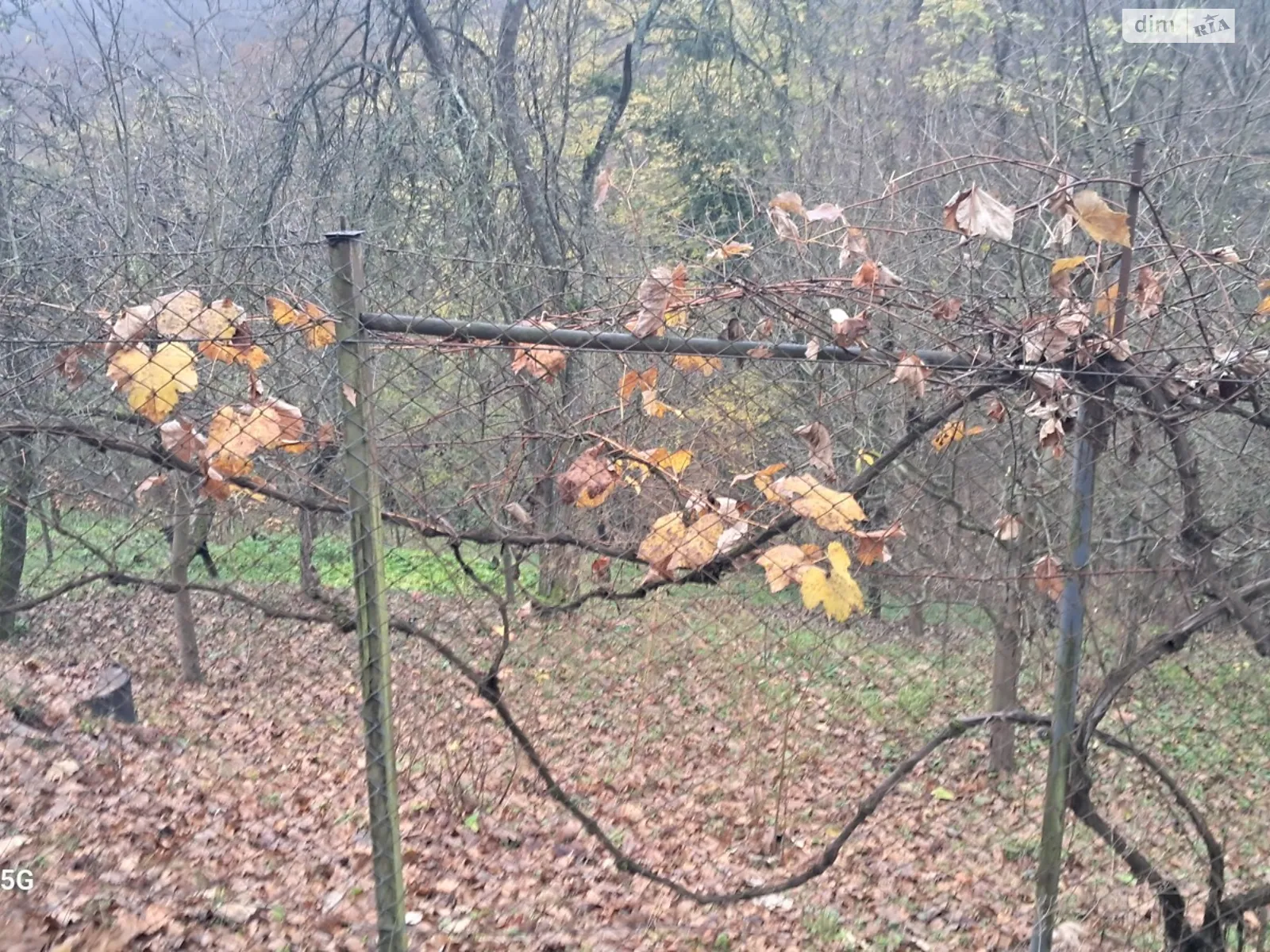 Продается земельный участок 4.8 соток в Закарпатской области, цена: 8000 $ - фото 1