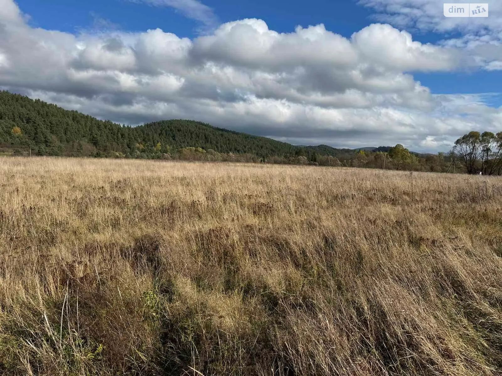 Сдается в аренду земельный участок 7.3501 соток в Львовской области, цена: 2021 грн - фото 1