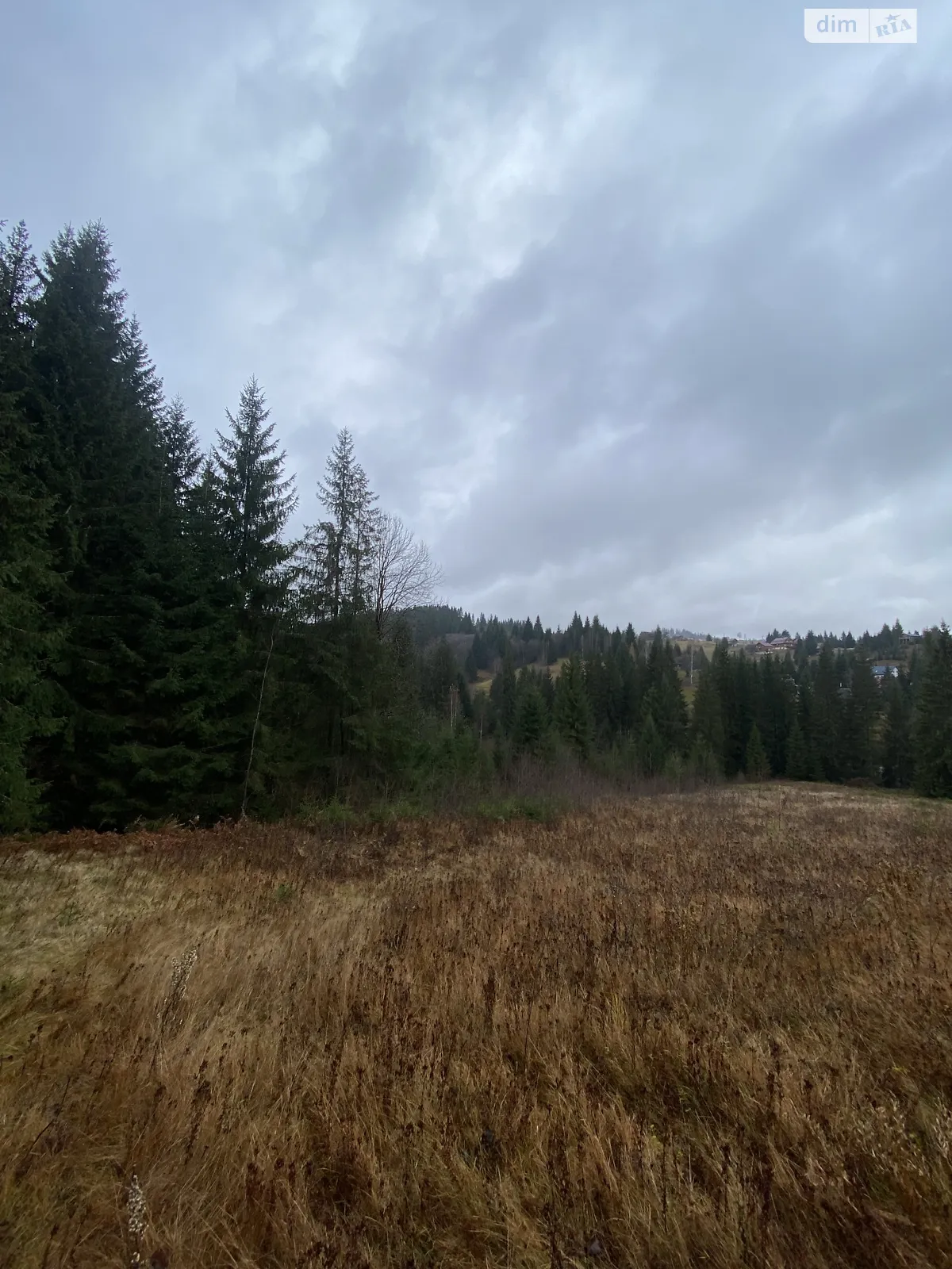 Продается земельный участок 105.7 соток в Ивано-Франковской области, цена: 230000 $ - фото 1