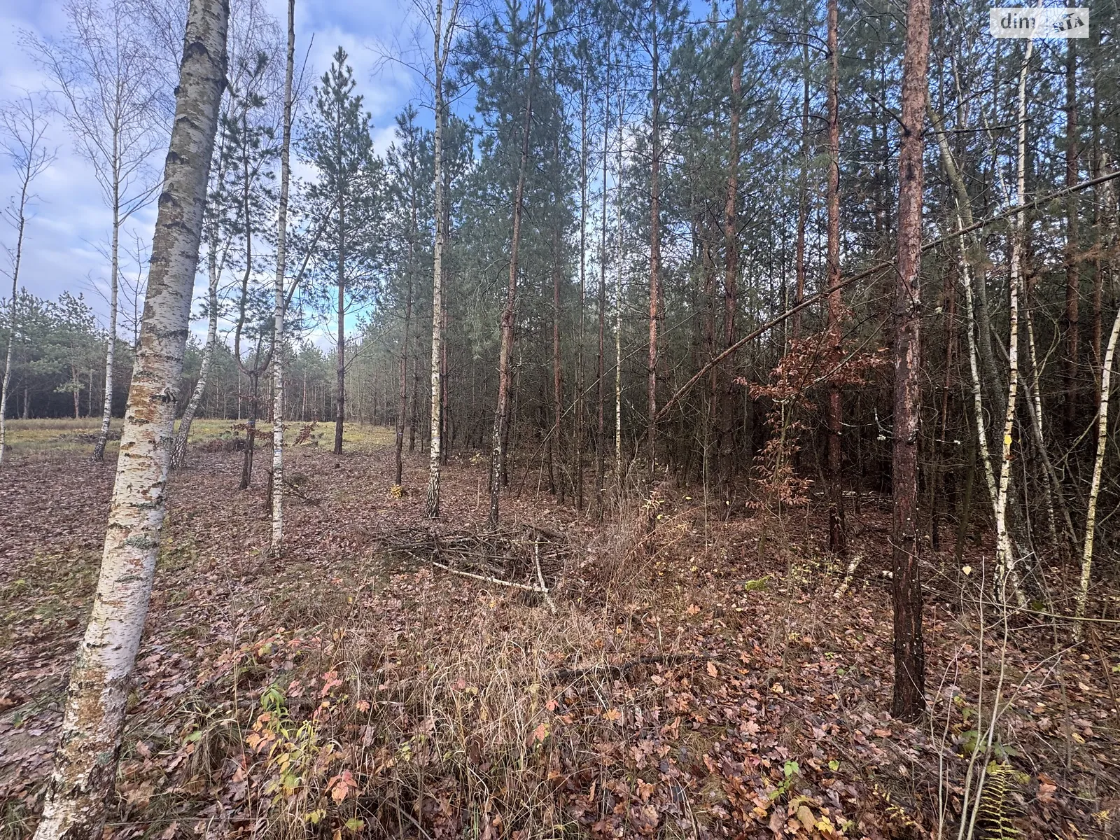 Славное, цена: 25000 $ - фото 1