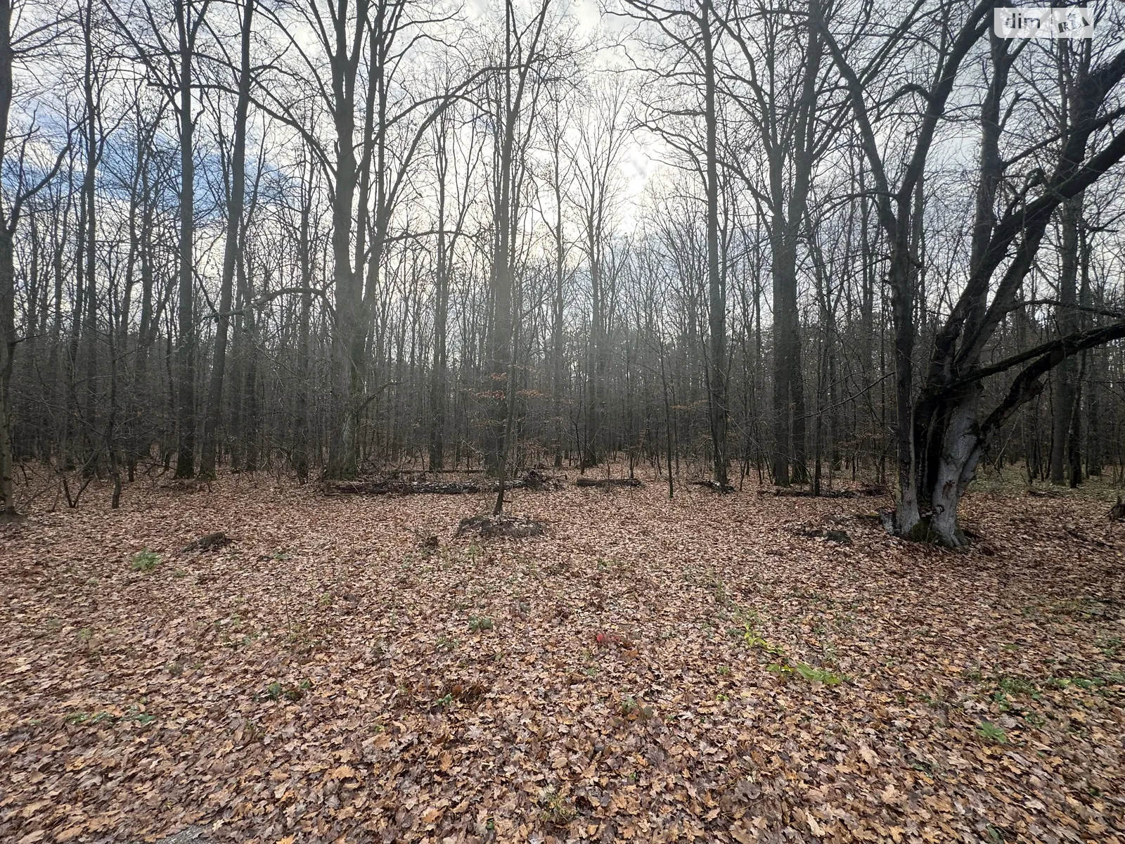 Славное, цена: 26000 $ - фото 1