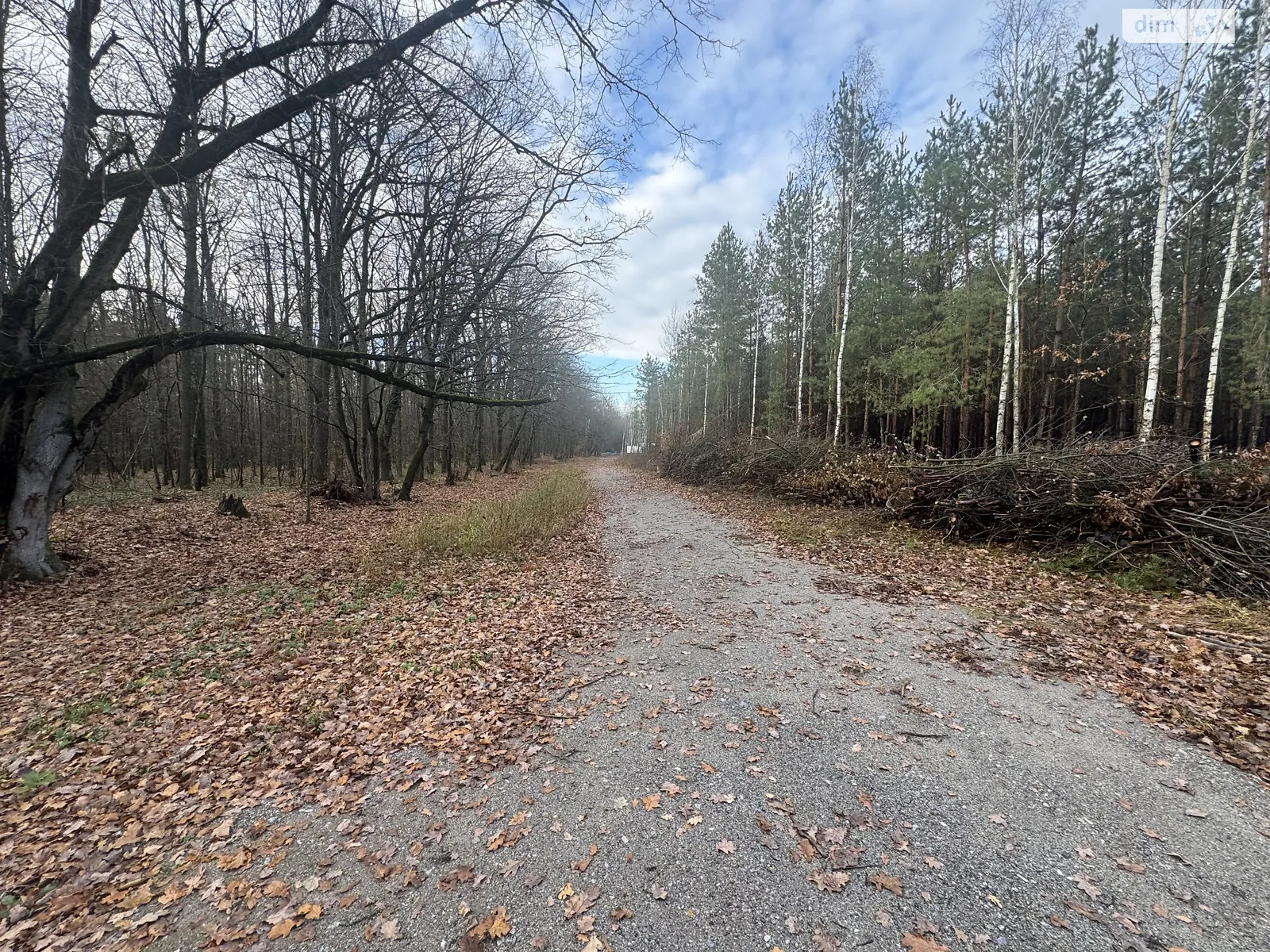 Славное, цена: 26000 $ - фото 1