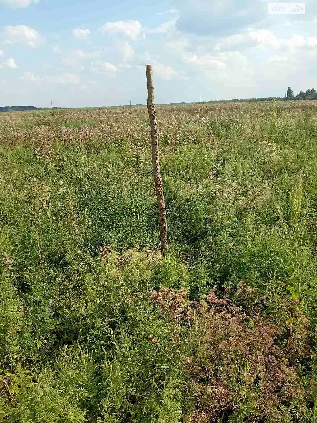 Сдается в аренду земельный участок 11.0118 соток в  области, цена: 48364 грн - фото 1