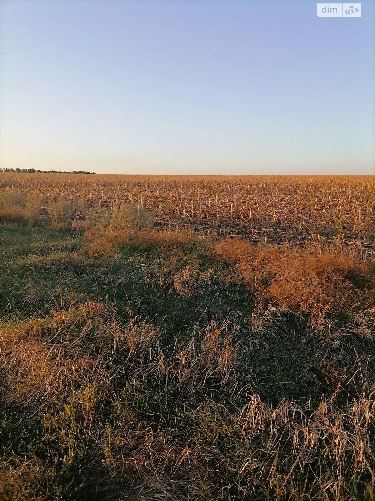 Сдается в аренду земельный участок 5.4468 соток в Днепропетровской области, цена: 18985 грн - фото 1