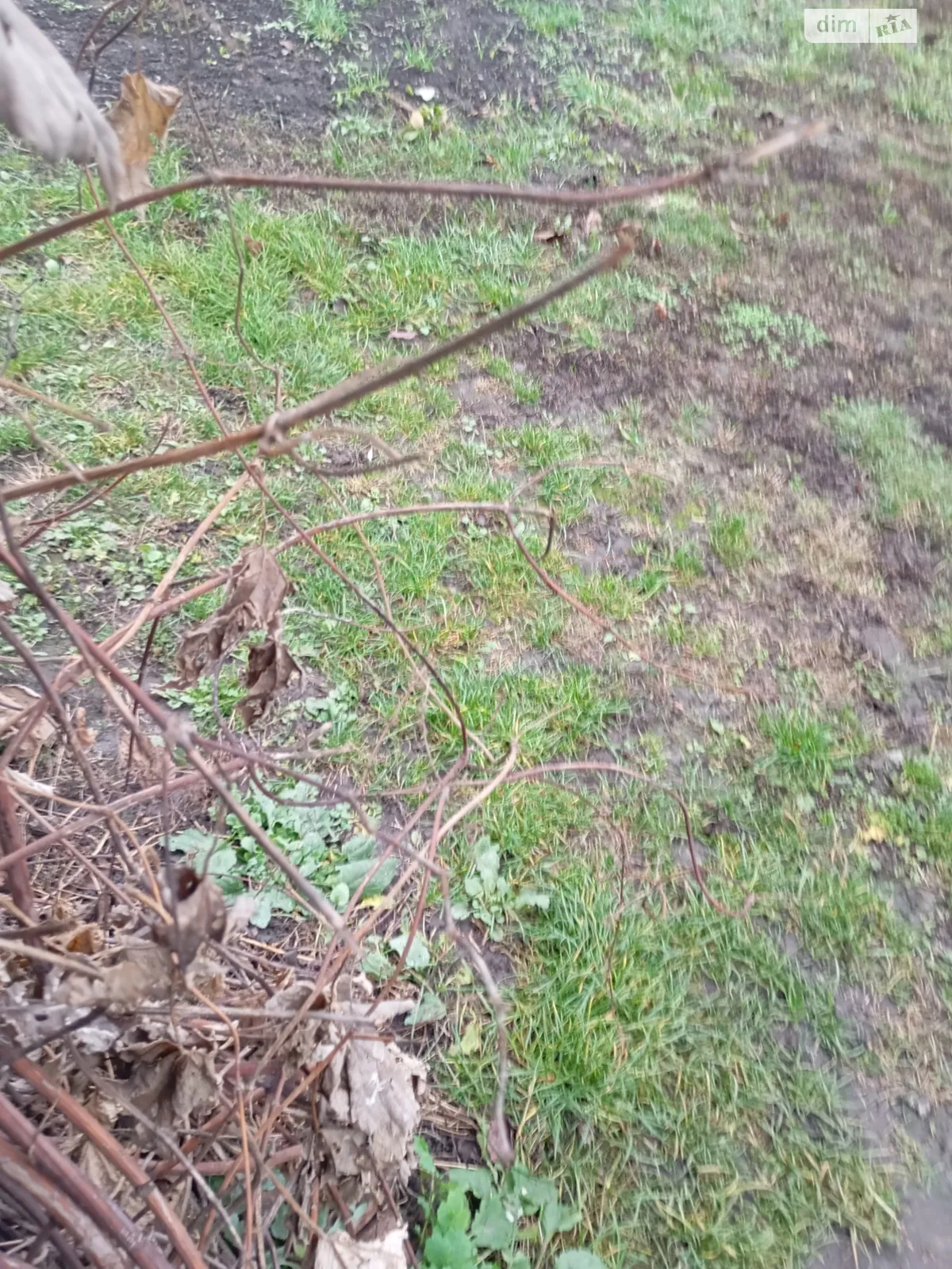 Продается земельный участок 54 соток в Полтавской области, цена: 350000 грн - фото 1