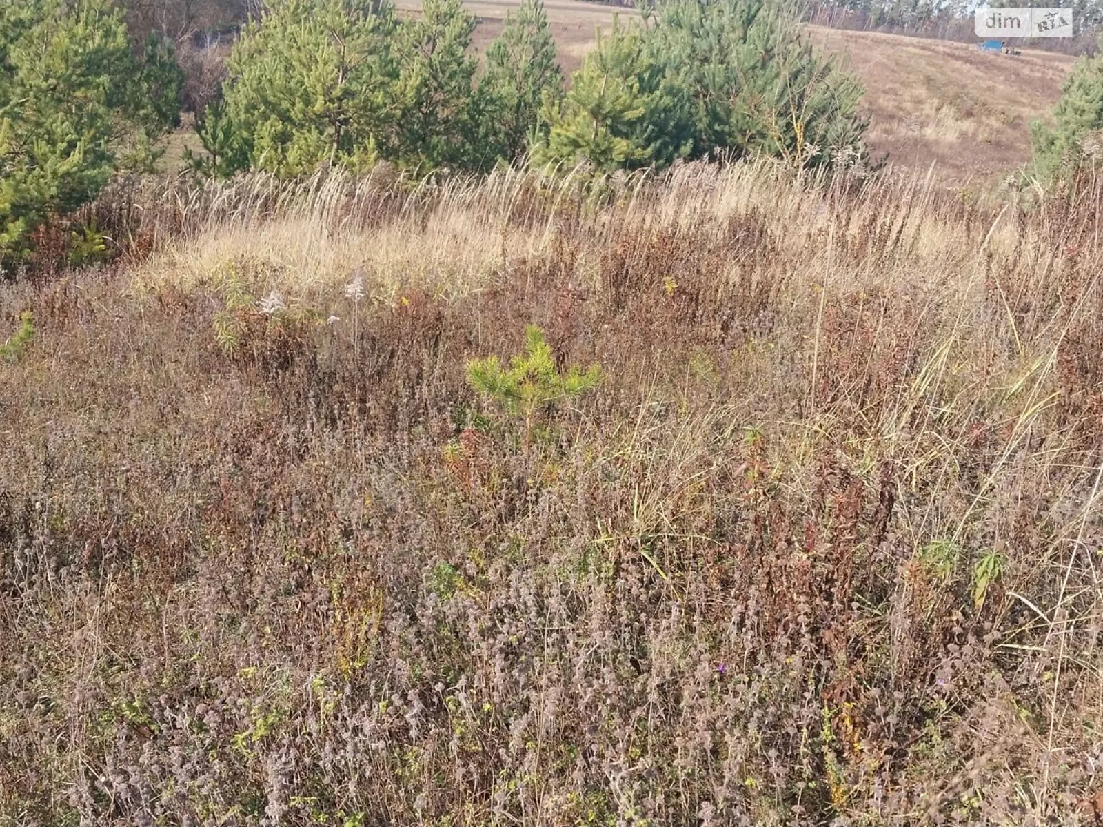 Здається в оренду земельна ділянка 14.1727 соток у Хмельницькій області, цена: 50644 грн - фото 1