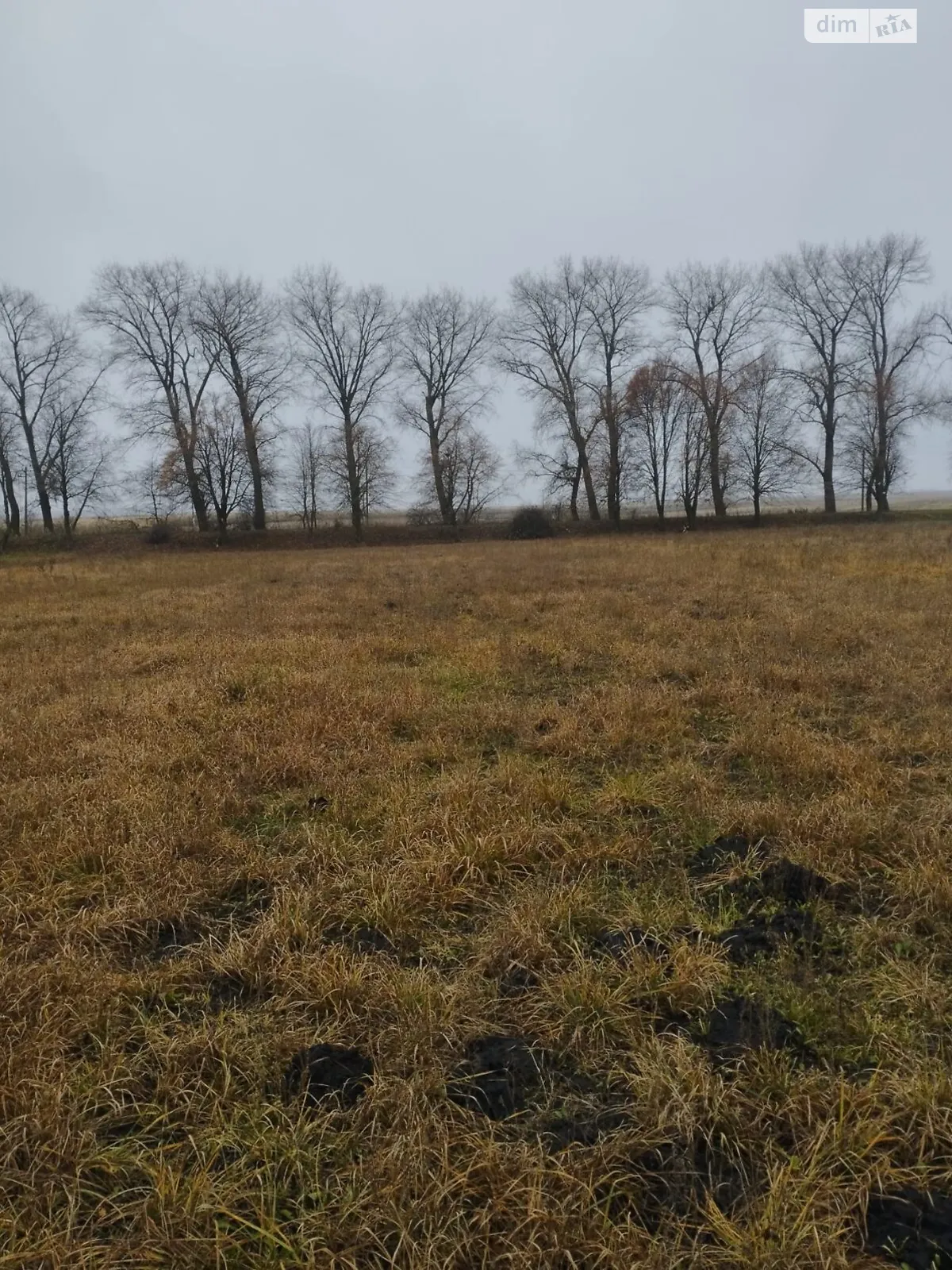 Молодіжна Семаки (Хмельник), цена: 7000 $ - фото 1