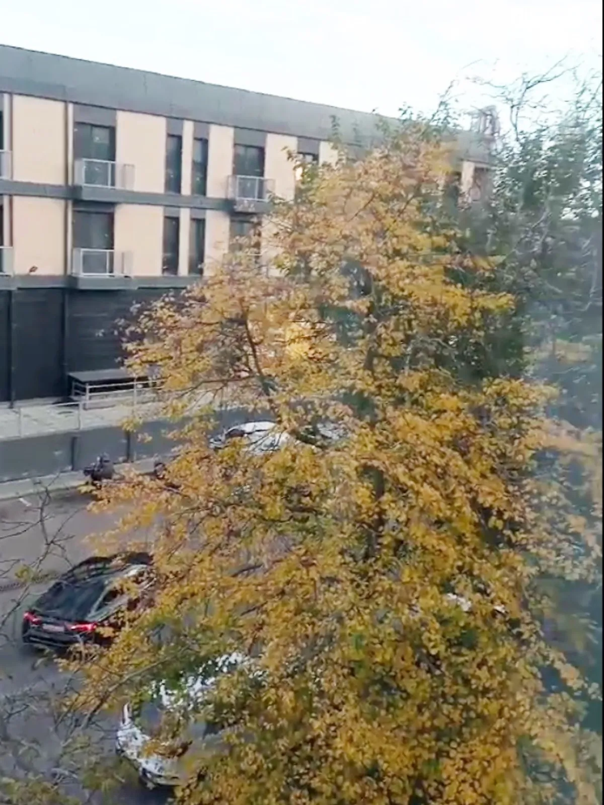 Сдается в аренду 3-комнатная квартира 60 кв. м в Николаеве, цена: 10000 грн - фото 1