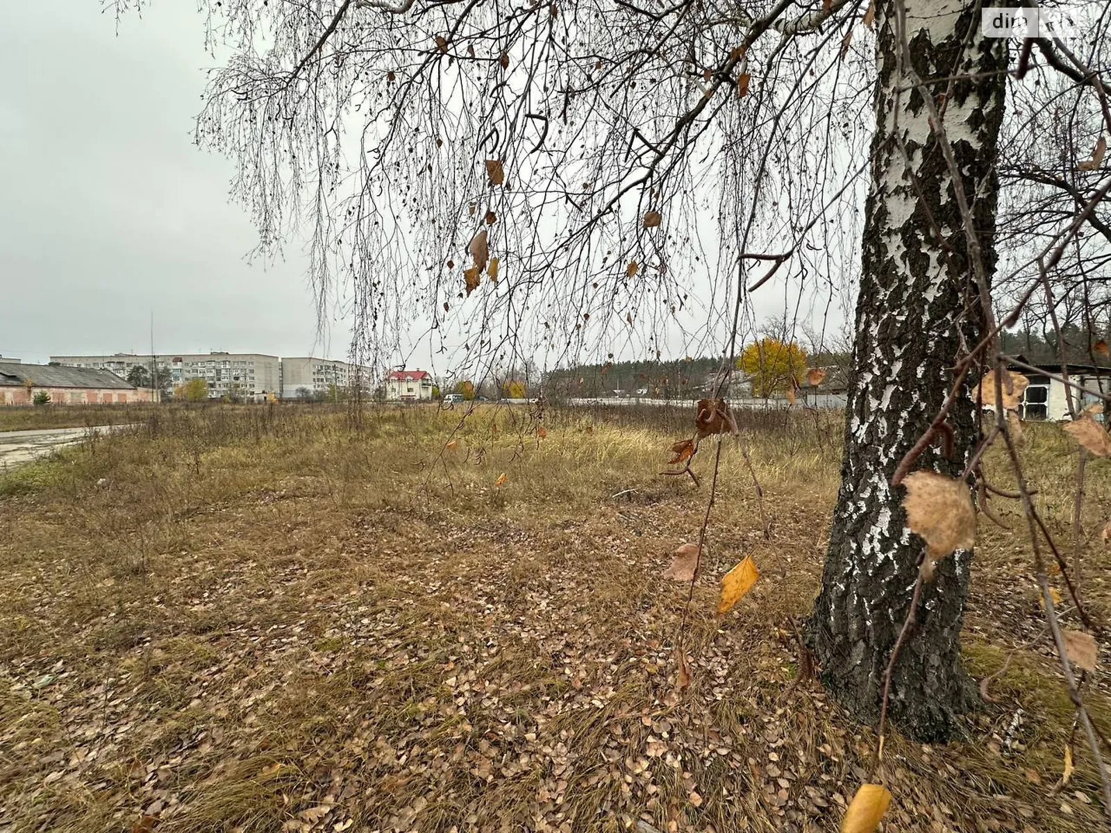 Продается земельный участок 10.55 соток в Житомирской области, цена: 8000 $ - фото 1