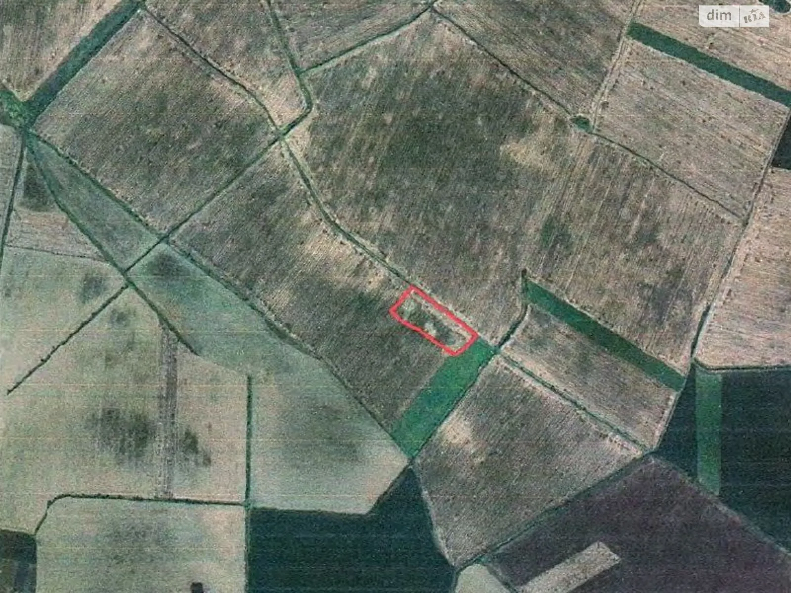 Заздрість, цена: 49515 грн - фото 1