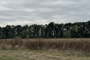 Продажа земли сельскохозяйственного назначения, Винницкая, Бохоники