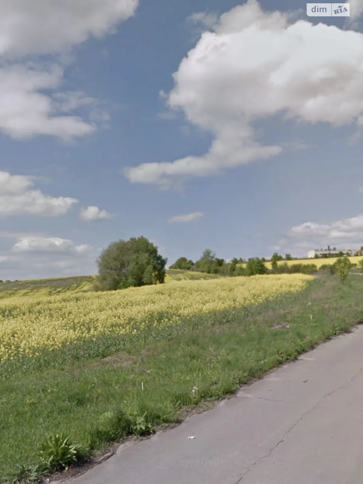 Продается земельный участок 10 соток в Хмельницкой области, цена: 6500 $ - фото 1