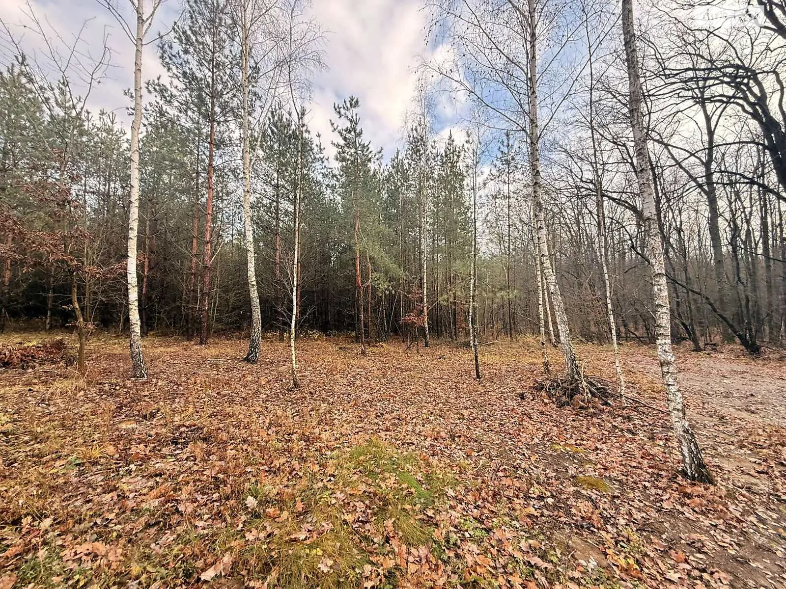 Славное, цена: 26000 $ - фото 1