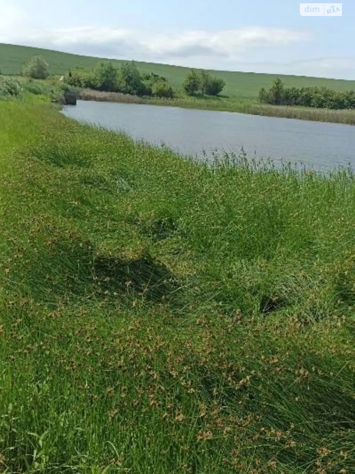 Здається в оренду земельна ділянка 4.6683 соток у Чернівецькій області, цена: 15867 грн - фото 1