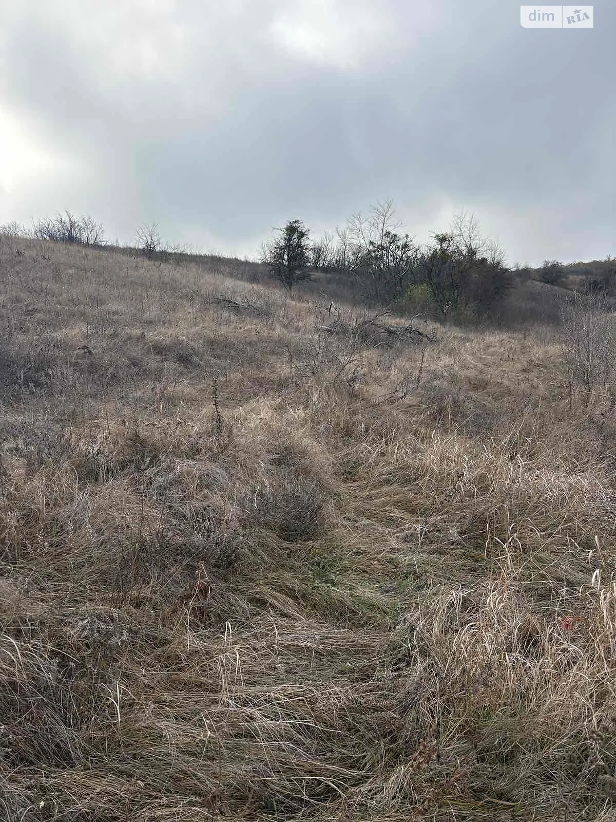 Здається в оренду земельна ділянка 6.53 соток у Черкаській області, цена: 19675 грн - фото 1