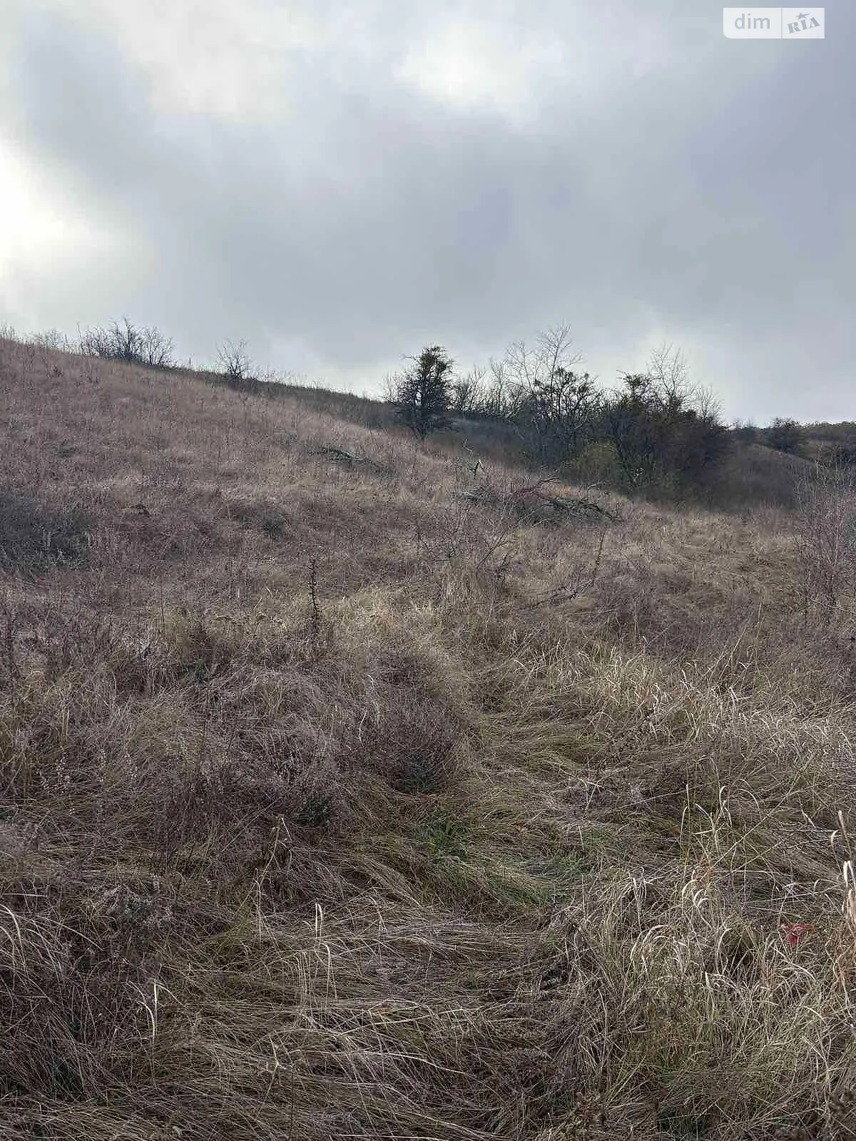 Здається в оренду земельна ділянка 0.7256 соток у Черкаській області, цена: 1849 грн - фото 1