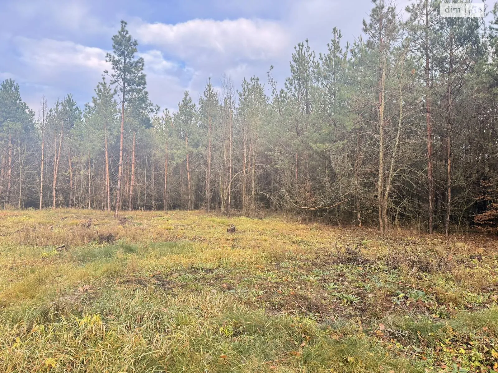 Славное, цена: 27000 $ - фото 1