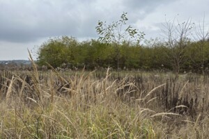 Продажа участка под жилую застройку, Винницкая, Зарванцы