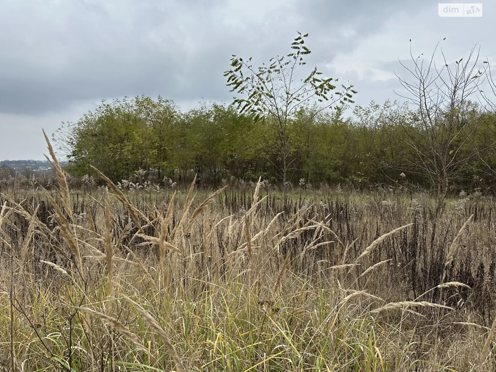 Зарванцы, цена: 43000 $ - фото 1