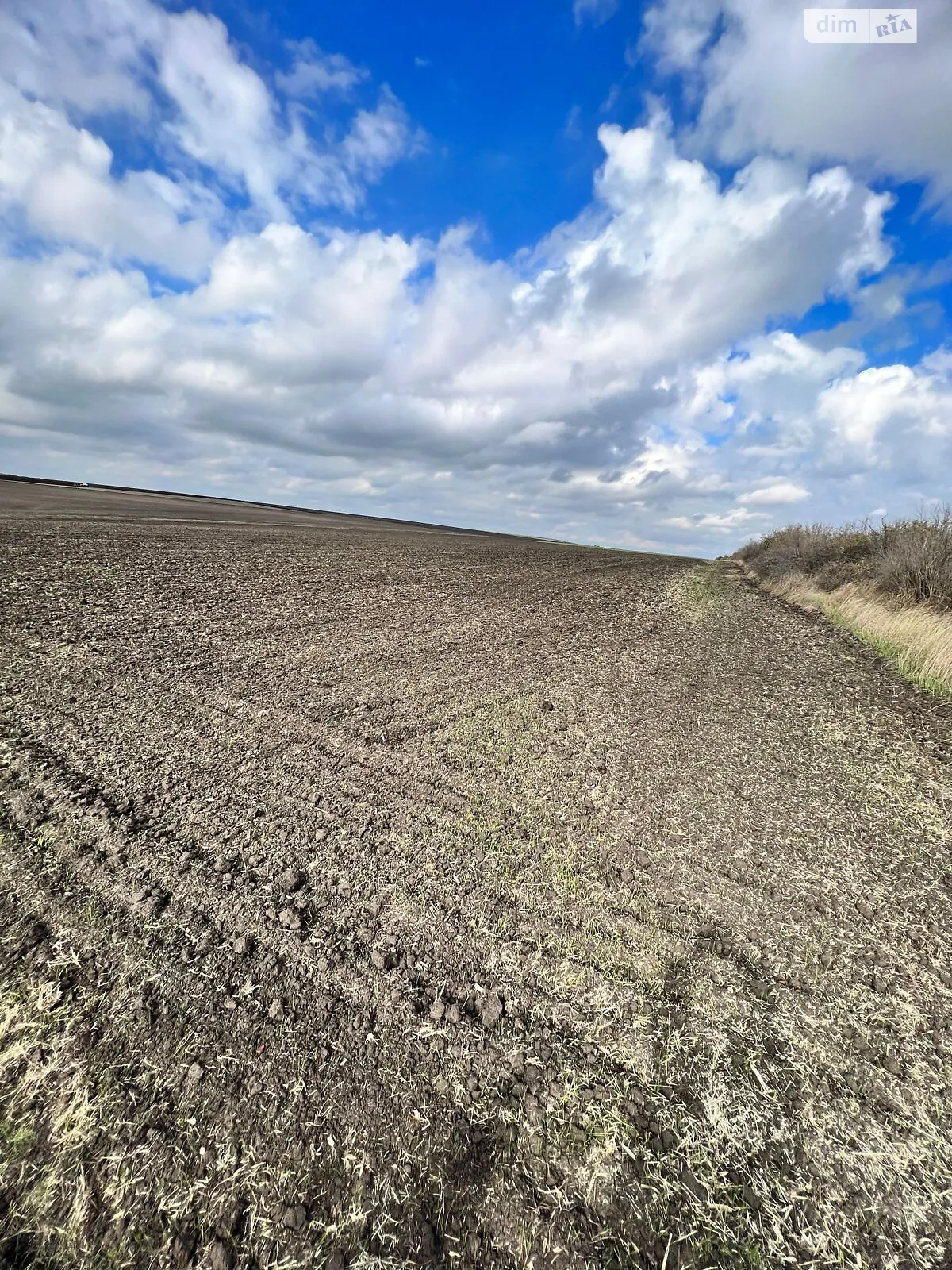 Сдается в аренду земельный участок 6.9878 соток в Одесской области, цена: 25397 грн - фото 1