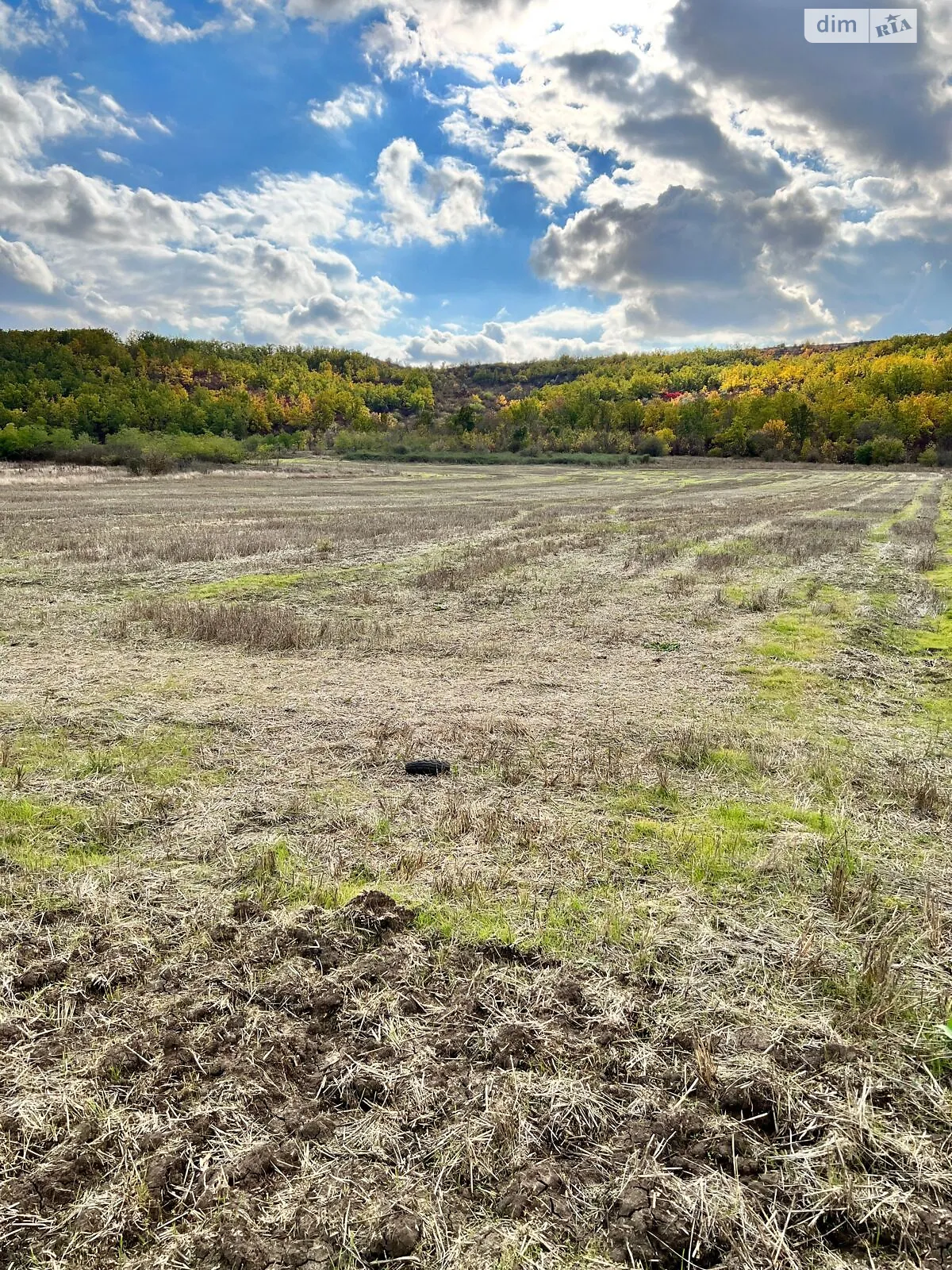 Сдается в аренду земельный участок 1.642 соток в Одесской области, цена: 7283 грн - фото 1