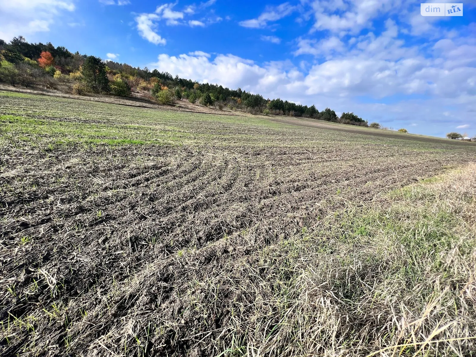Сдается в аренду земельный участок 2.5515 соток в Одесской области, цена: 9286 грн - фото 1