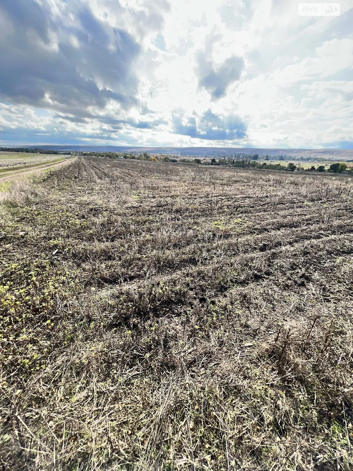 Сдается в аренду земельный участок 2.4932 соток в Одесской области, цена: 9881 грн - фото 1