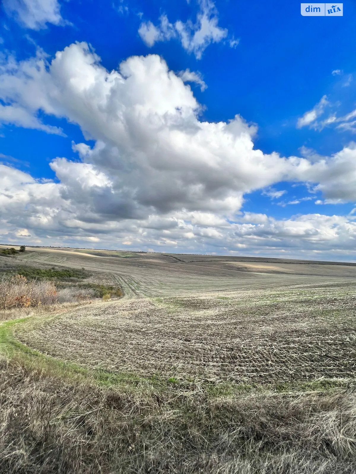 Ширяево, цена: 60079 грн - фото 1