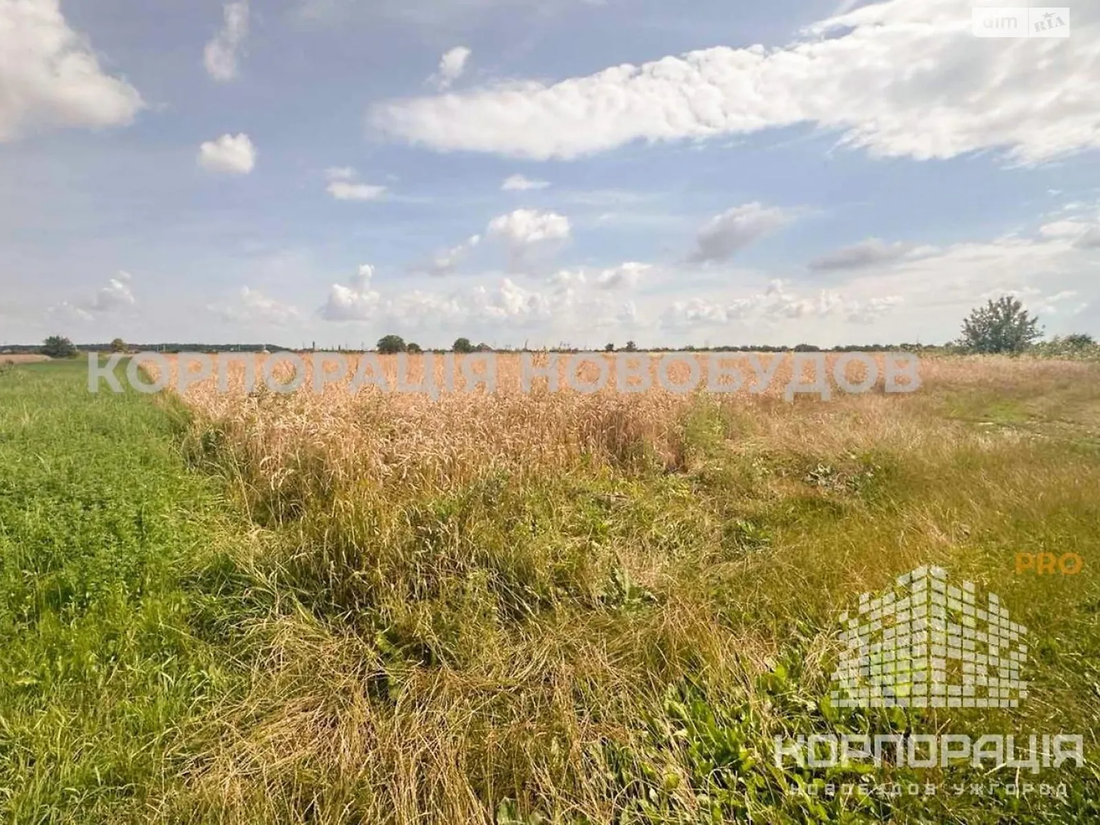 ул. Майская Баранинцы, цена: 27500 $ - фото 1