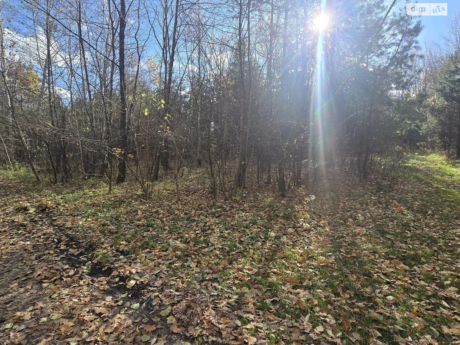 Продається земельна ділянка 12 соток у Житомирській області, цена: 5000 $ - фото 1