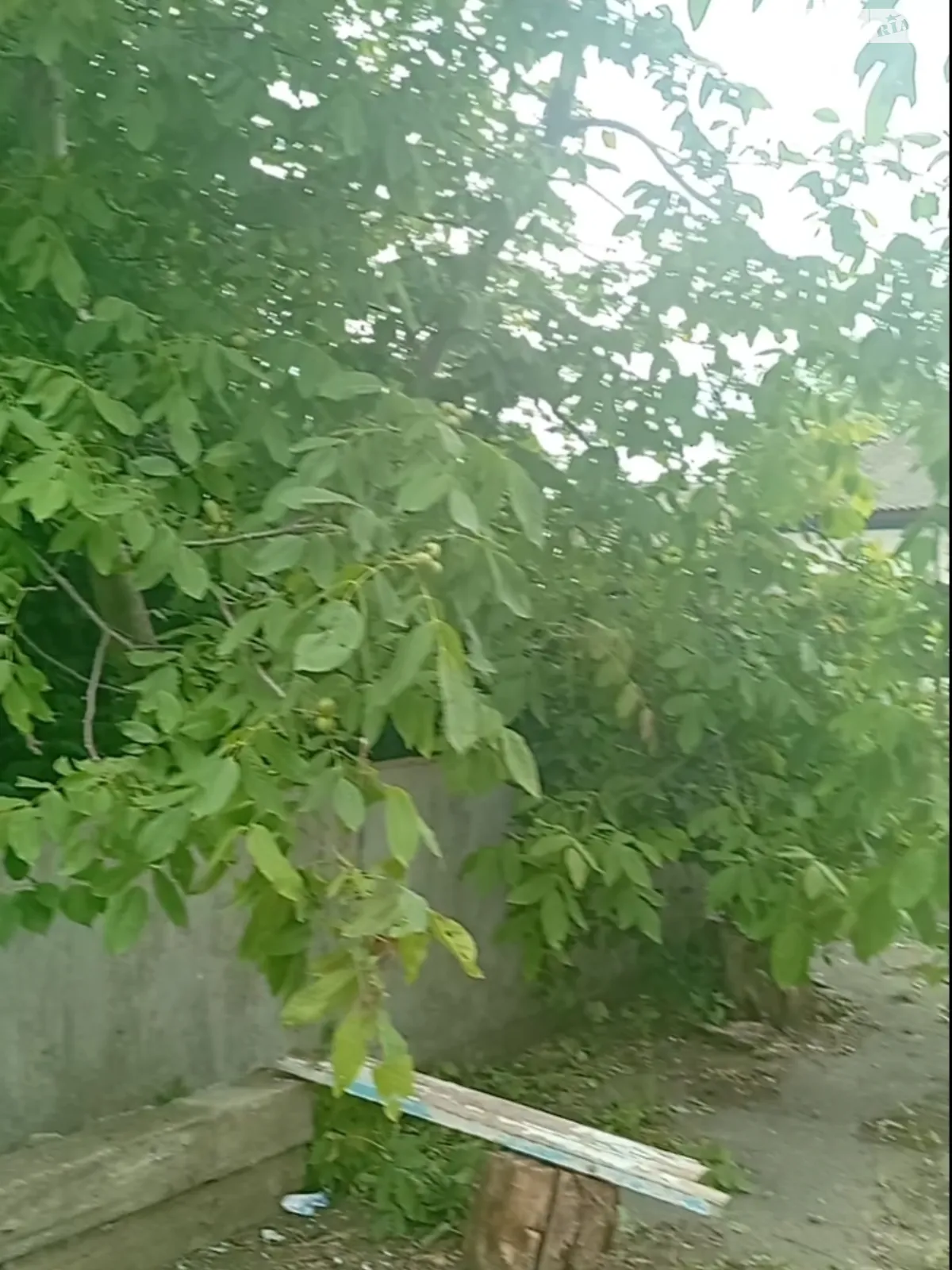 Мирна Михайловка (Винница), цена: 15000 $ - фото 1