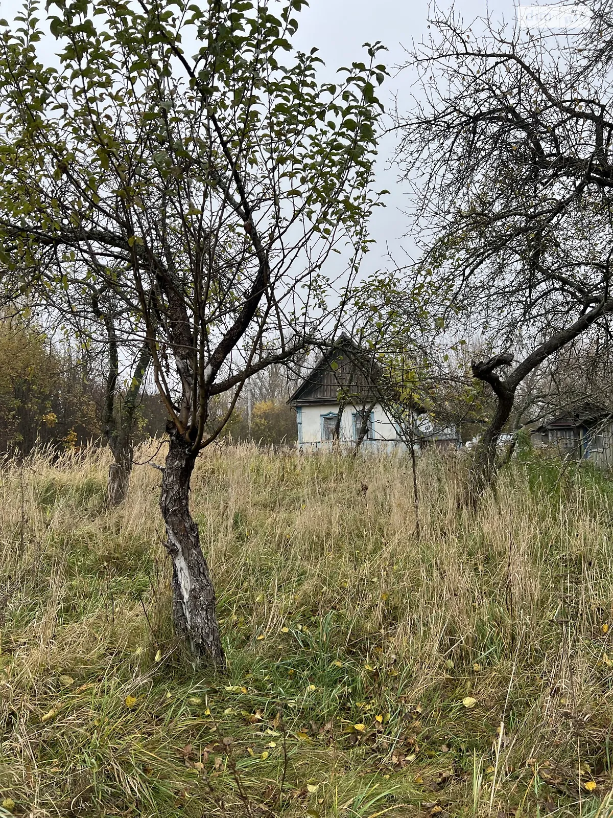 Продается одноэтажный дом 46 кв. м с участком, цена: 6000 $ - фото 1