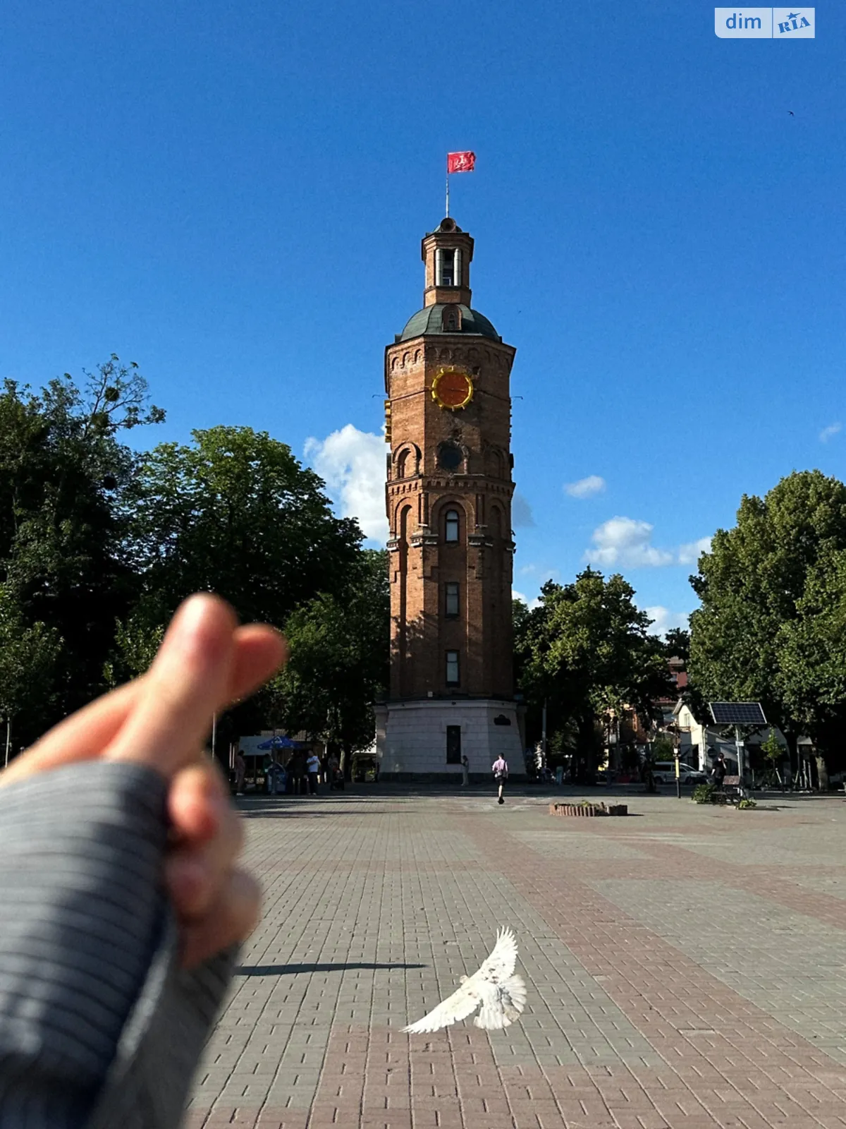 Здається в оренду приміщення вільного призначення 21 кв. м в 3-поверховій будівлі, цена: 2500 грн - фото 1