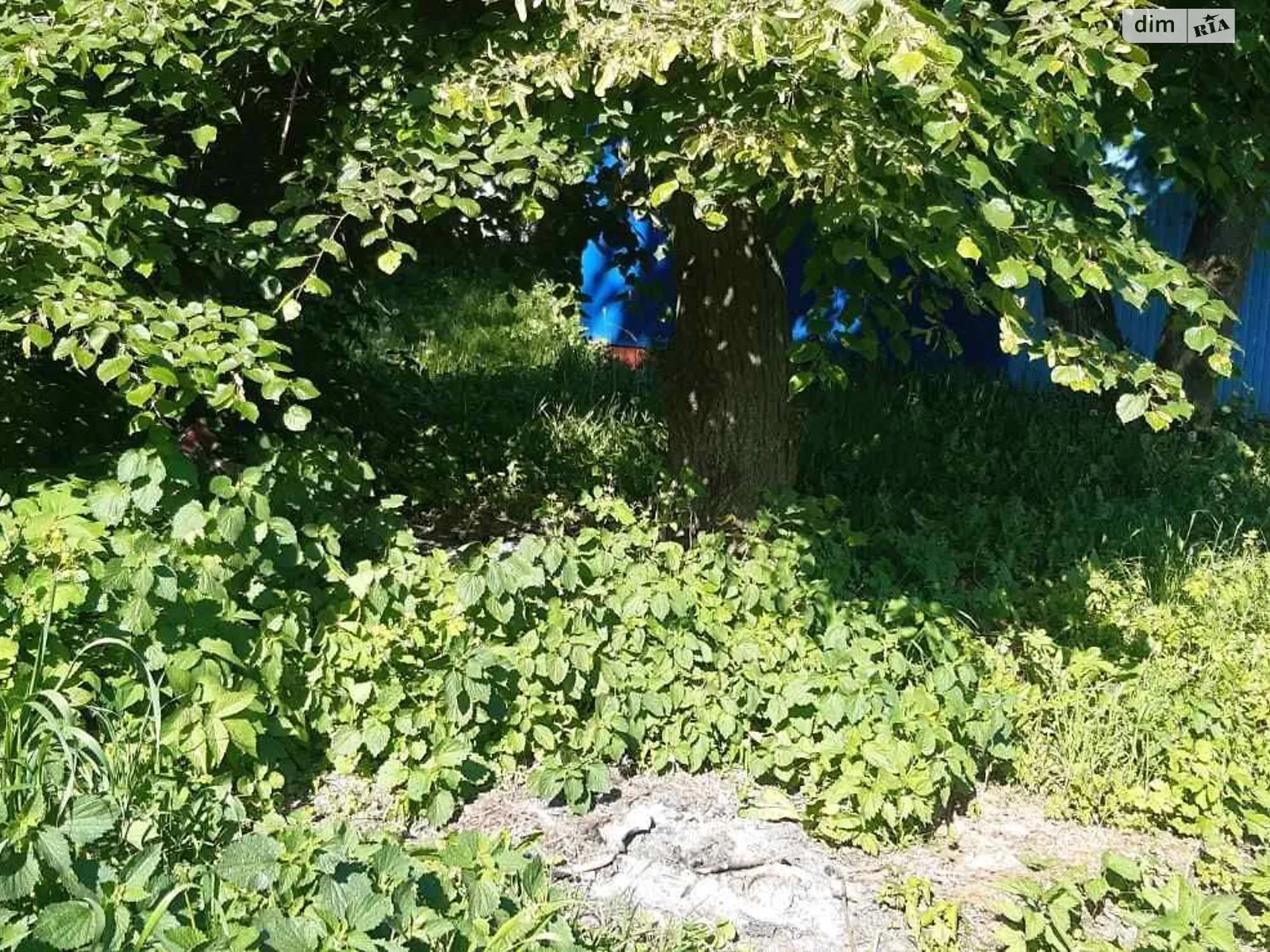 Здається в оренду земельна ділянка 0.01 соток у Хмельницькій області, цена: 1999 грн - фото 1