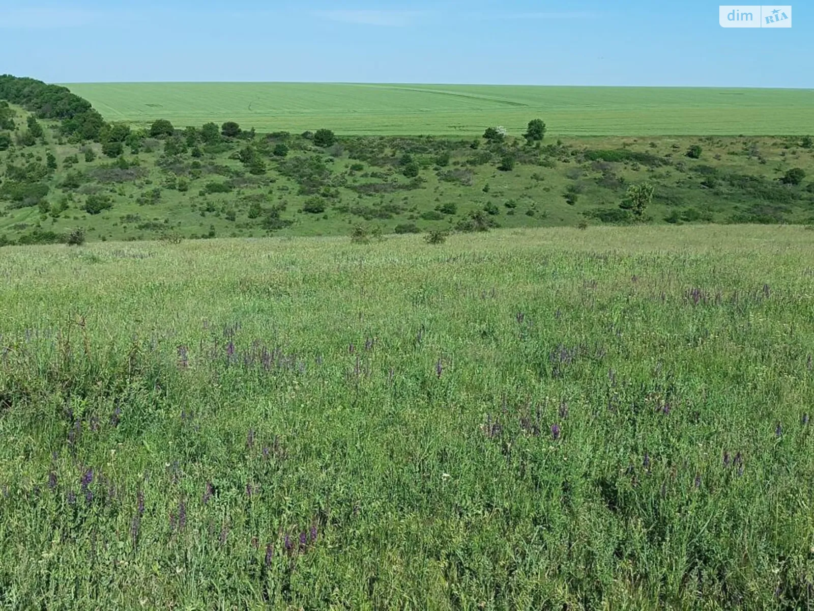 Маяки (Красные Окны), цена: 60468 грн - фото 1