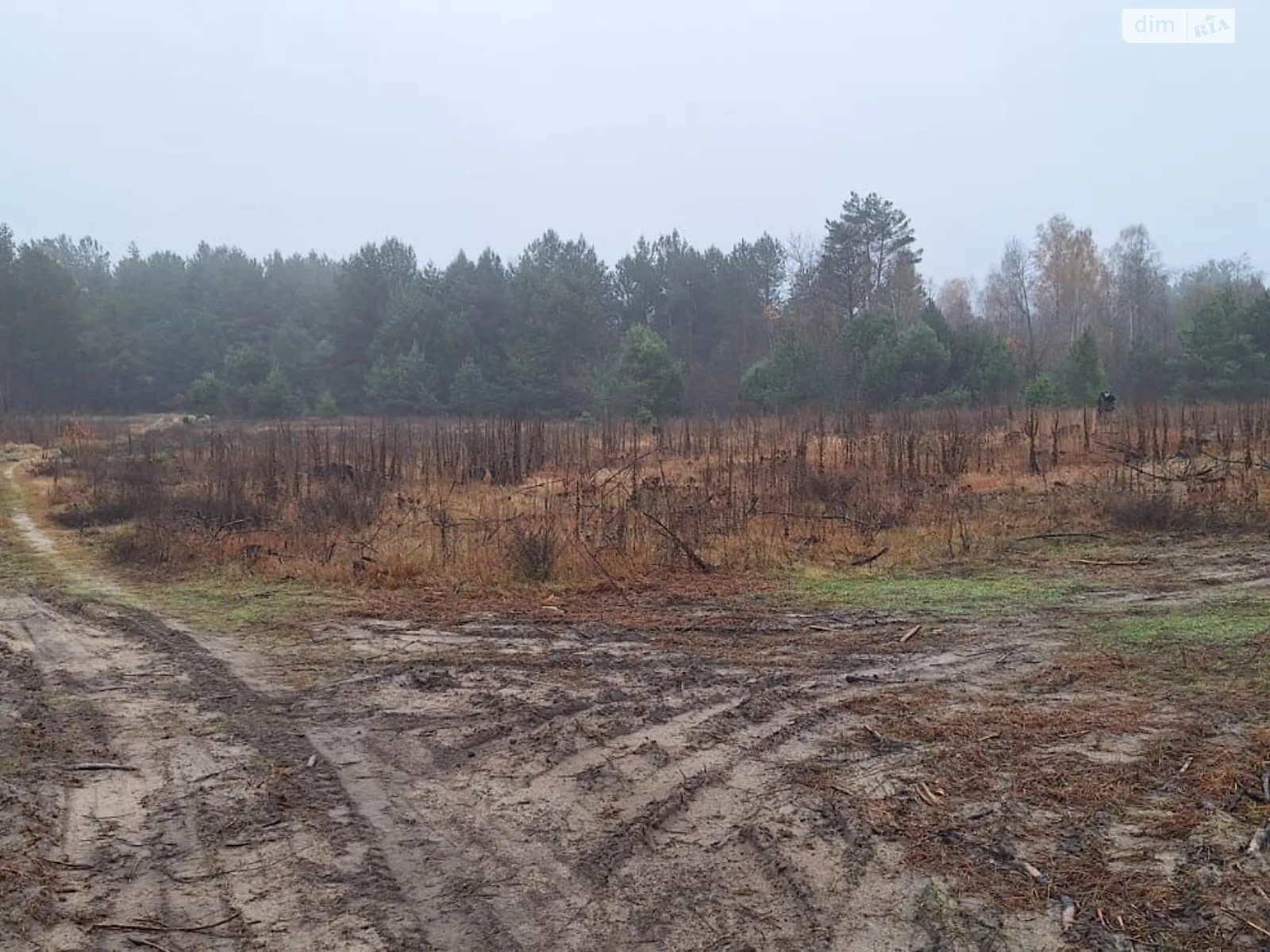 Сдается в аренду земельный участок 2.2022 соток в Волынской области, цена: 125606 грн - фото 1