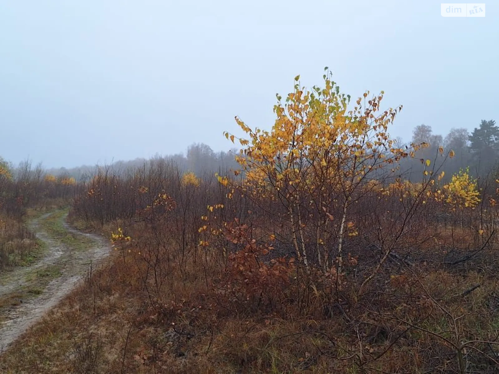 Сдается в аренду земельный участок 2.3908 соток в Волынской области, цена: 136363 грн - фото 1