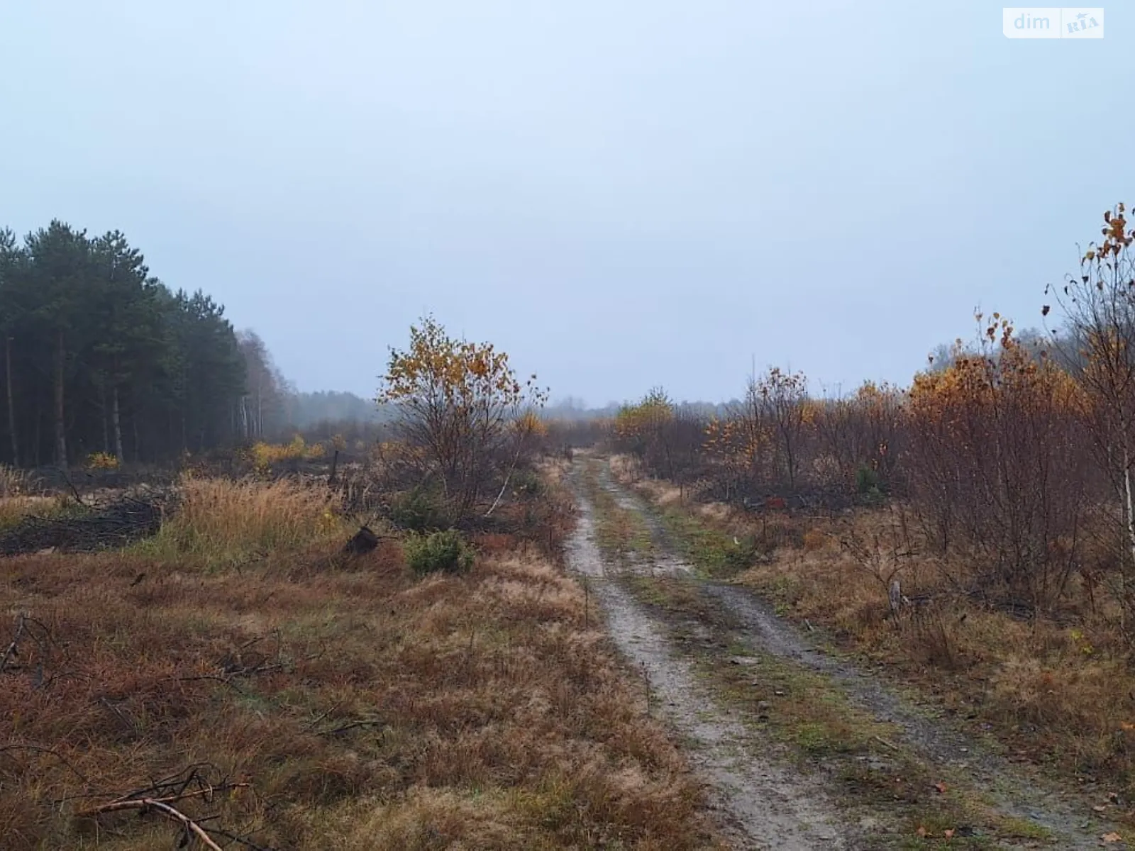 Сдается в аренду земельный участок 2.7295 соток в Волынской области, цена: 155682 грн - фото 1