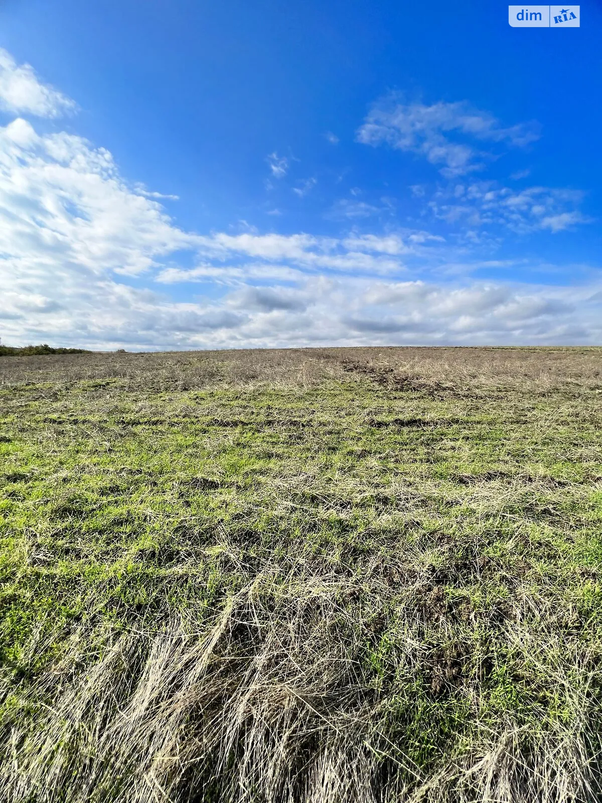 Сдается в аренду земельный участок 3.0925 соток в Одесской области, цена: 12880 грн - фото 1