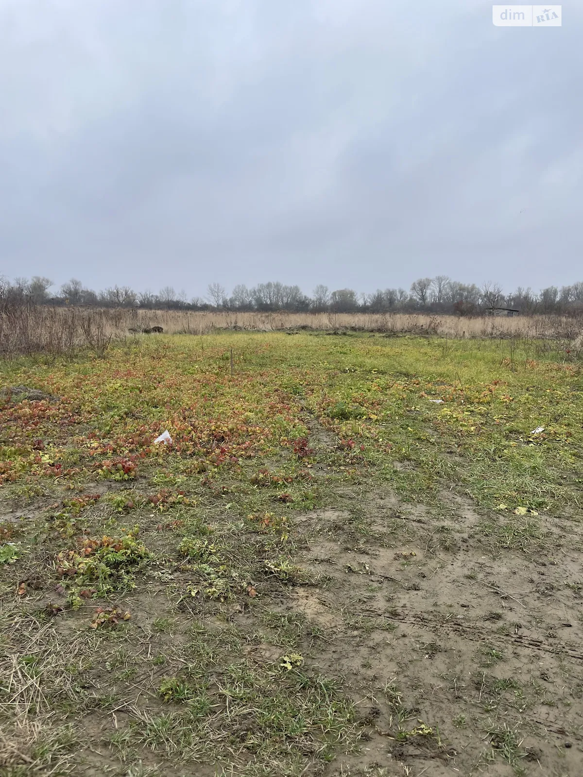 Продается земельный участок 6 соток в Закарпатской области, цена: 13500 $ - фото 1