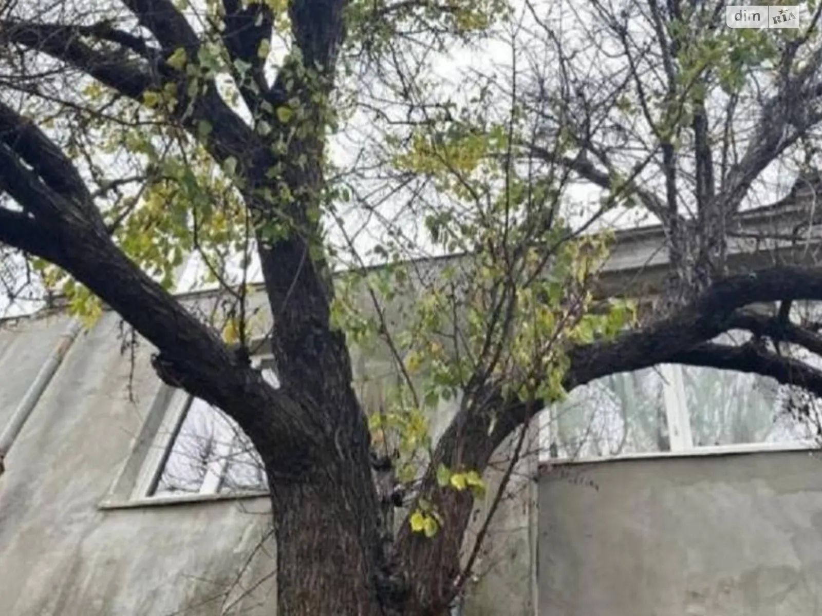 Продается 2-комнатная квартира 48.8 кв. м в Красноселке, ул. Куяльницкая(Совхозная) - фото 1