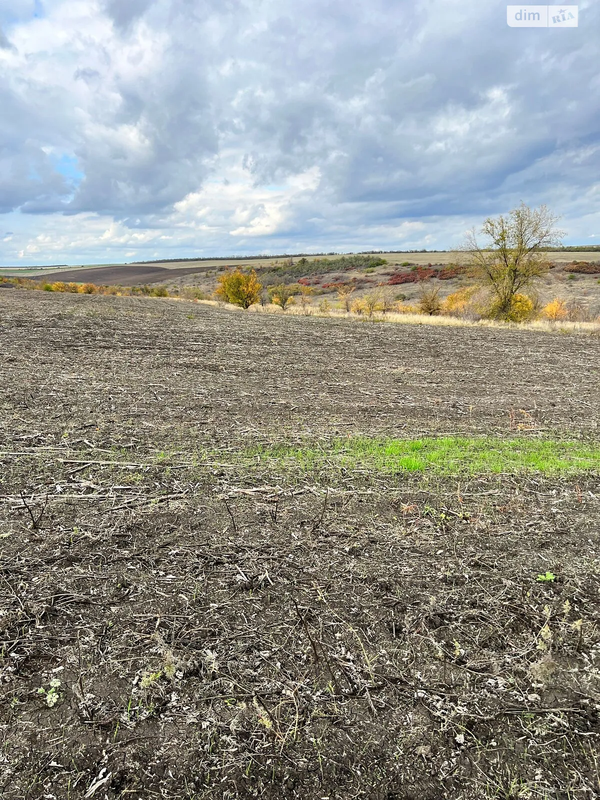Сдается в аренду земельный участок 16.4521 соток в Одесской области, цена: 71037 грн - фото 1